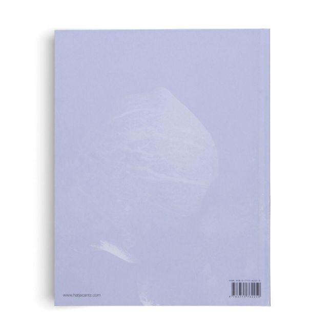 InsideView 2