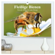 Cover-Bild zum Titel 'Fleißige Bienen. Von der Blüte bis zum Honig (hochwertiger Premium Wandkalender 2026 DIN A2 quer), Kunstdruck in Hochglanz' von 'Elisabeth Stanzer'