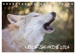 Wolfshunde 2026 (Tischkalender 2026 DIN A5 quer), CALVENDO Monatskalender - ARTness Photographie