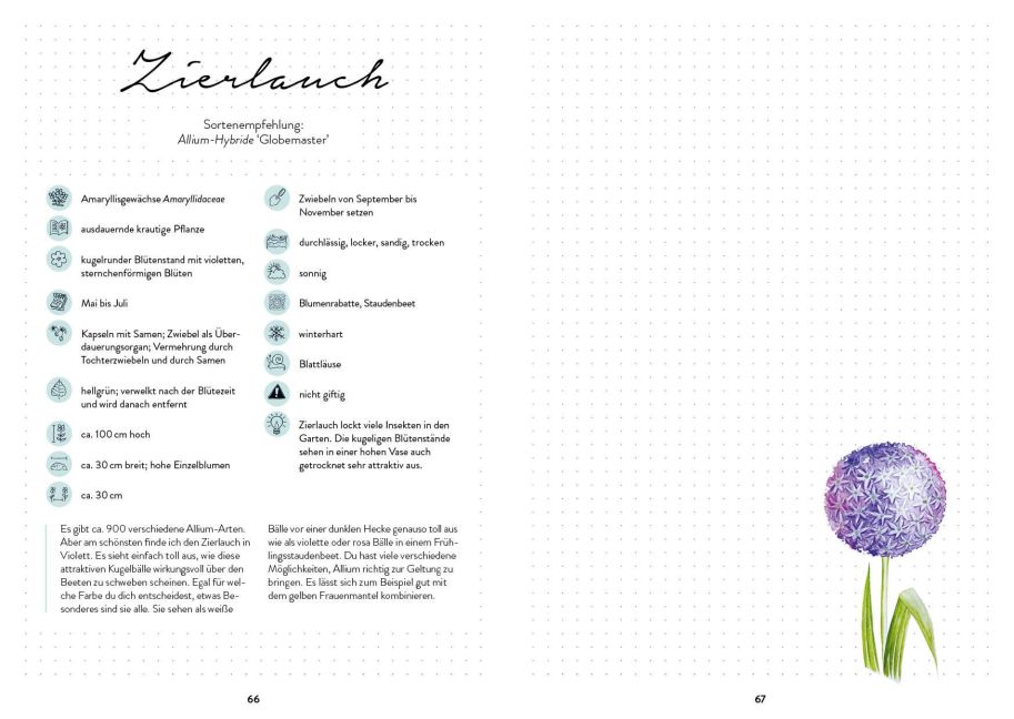 InsideView 13