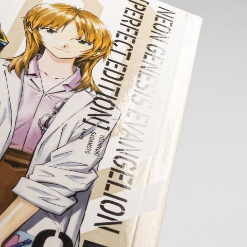 InsideView 3