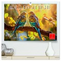 Wellensittiche farbenfroh und munter (hochwertiger Premium Wandkalender 2024 DIN A2 quer), Kunstdruck in Hochglanz - Peter Roder