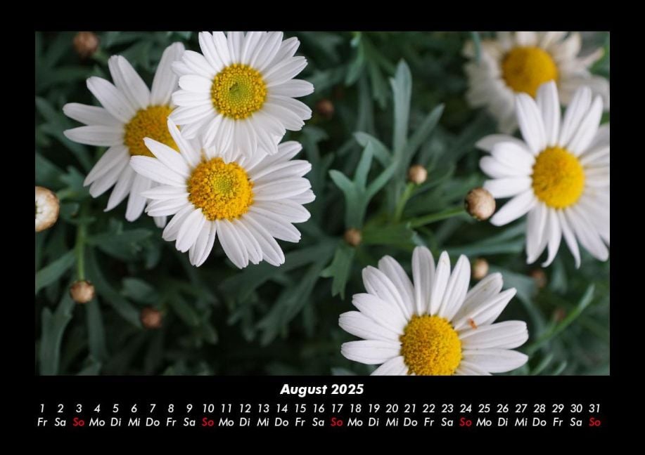 InsideView 12