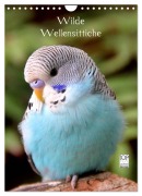 Cover-Bild zum Titel 'Wilde Wellensittiche (Wandkalender 2026 DIN A4 hoch), CALVENDO Monatskalender' von 'Björn Bergmann'