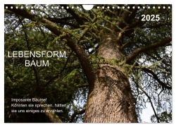 Lebensform Baum (Wandkalender 2025 DIN A4 quer), CALVENDO Monatskalender - Marlise Gaudig