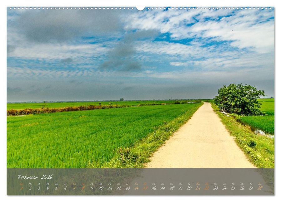 InsideView 6