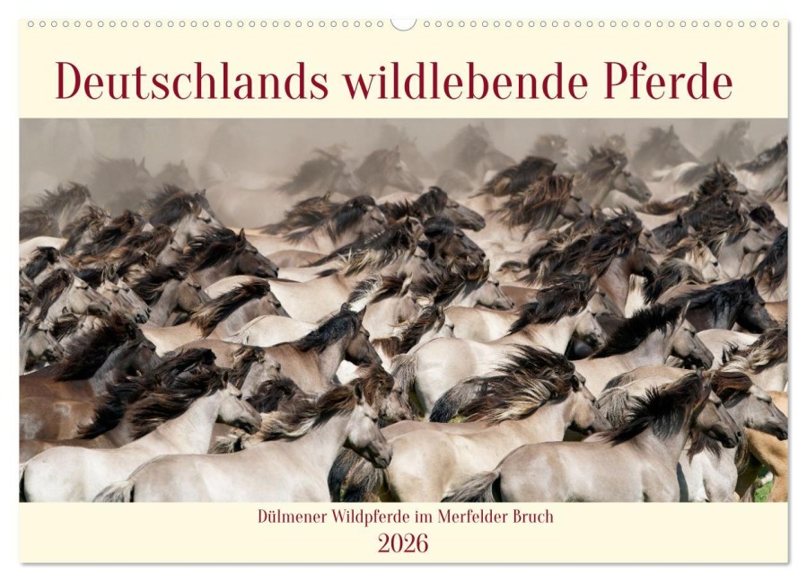 Deutschlands wildlebende Pferde (Wandkalender 2026 DIN A2 quer), CALVENDO Monatskalender - Marcel René Grossmann