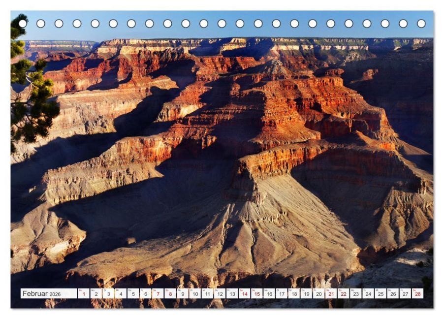 InsideView 7
