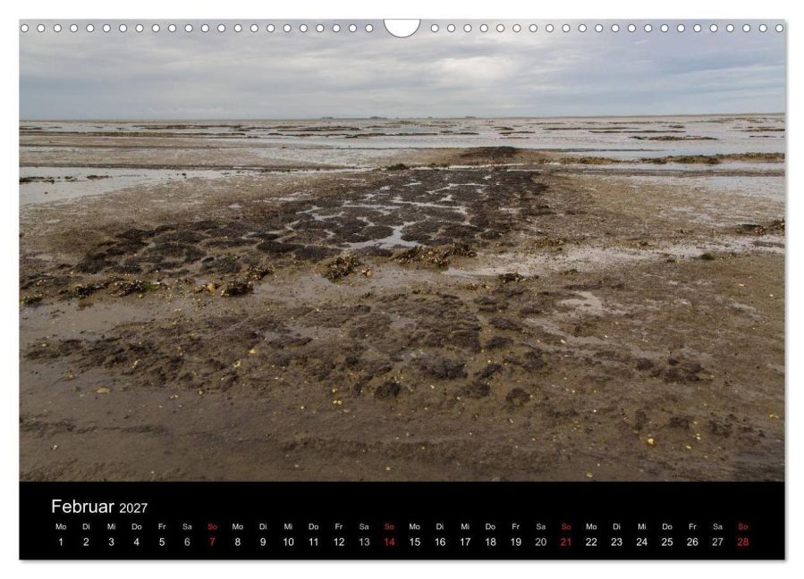 InsideView 7