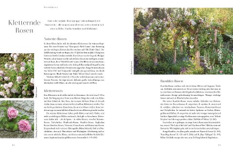 InsideView 5