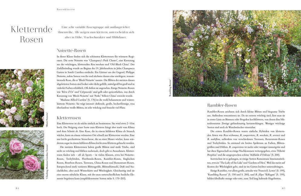 InsideView 5