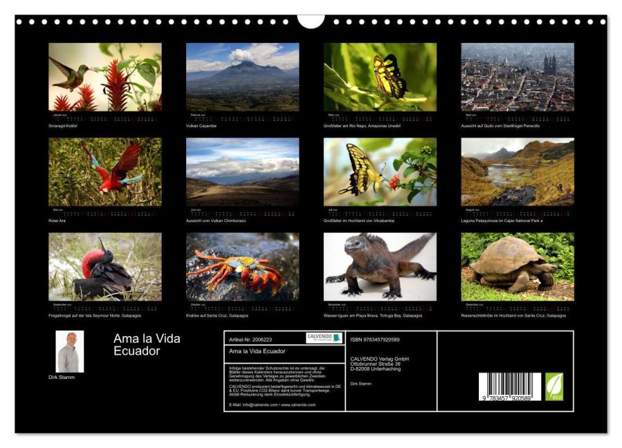 InsideView 5