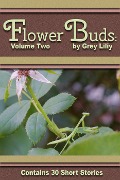 Flower Buds: Volume Two - Grey Liliy
