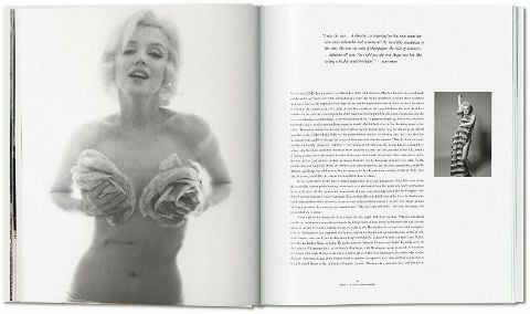 InsideView 12