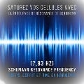 Cover-Bild zum Titel 'Saturez vos cellules avec la fréquence de résonance de Schumann (7,83 Hz)' von 'CTF - Centre de Thérapie par Fréquence'