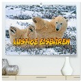 Lustige Eisbären (hochwertiger Premium Wandkalender 2025 DIN A2 quer), Kunstdruck in Hochglanz - Joern Stegen