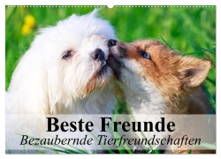 Beste Freunde - Bezaubernde Tierfreundschaften (Wandkalender 2025 DIN A2 quer), CALVENDO Monatskalender - Elisabeth Stanzer