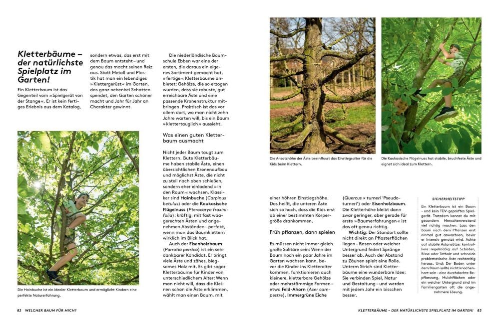 InsideView 6