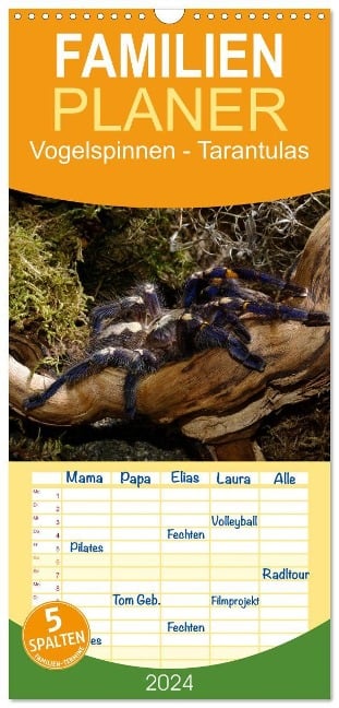 Familienplaner 2024 - Vogelspinnen - Tarantulas mit 5 Spalten (Wandkalender, 21 x 45 cm) CALVENDO - Benny Trapp