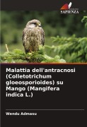 Malattia dell'antracnosi (Colletotrichum gloeosporioides) su Mango (Mangifera indica L.) - Wendu Admasu
