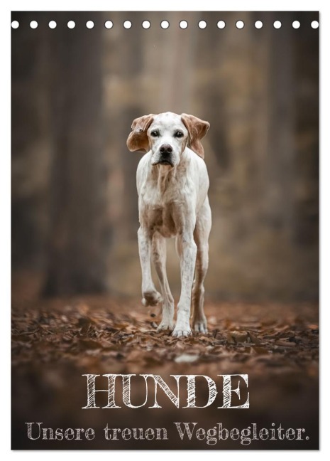 Hunde - Unsere treuen Wegbegleiter. (Tischkalender 2026 DIN A5 hoch), CALVENDO Monatskalender - Tierfotografie Andreas Kossmann