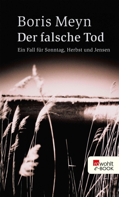 Der falsche Tod - Boris Meyn
