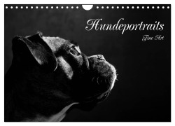 Cover-Bild zum Titel 'Hundeportraits Fine Art (Wandkalender 2026 DIN A4 quer), CALVENDO Monatskalender' von 'Jana Behr'