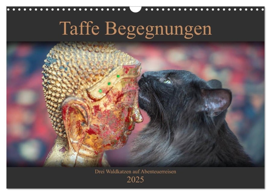 Taffe Begegnungen-Drei Waldkatzen auf Abenteuerreisen (Wandkalender 2025 DIN A3 quer), CALVENDO Monatskalender - Viktor Gross