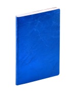Cover-Bild zum Titel 'GESCHÄFT COLOR ML Susan blau 2027' von ''
