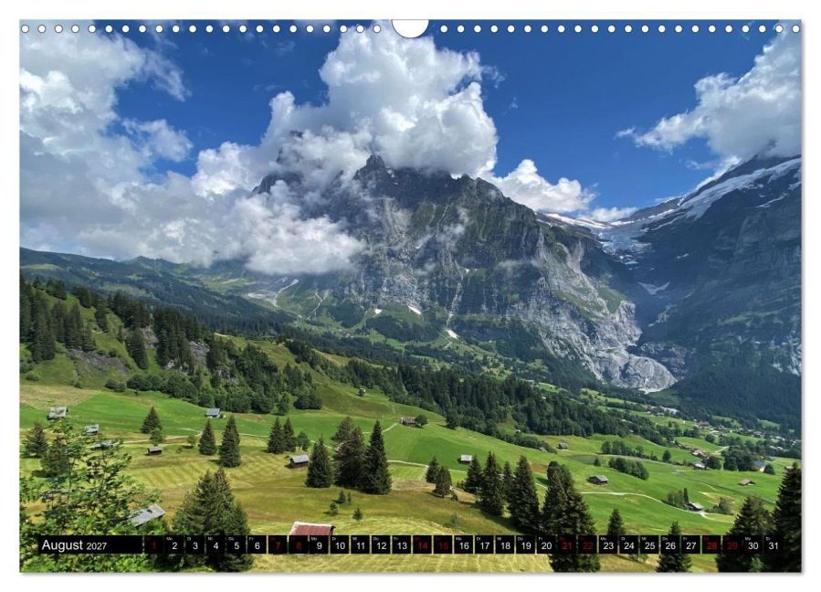 InsideView 13