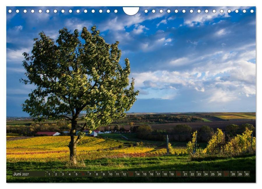 InsideView 11