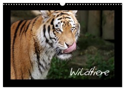 Wildtiere (Wandkalender 2026 DIN A3 quer), CALVENDO Monatskalender - Katrin Zeller Und Christian Kiedy