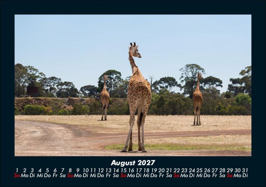 InsideView 12