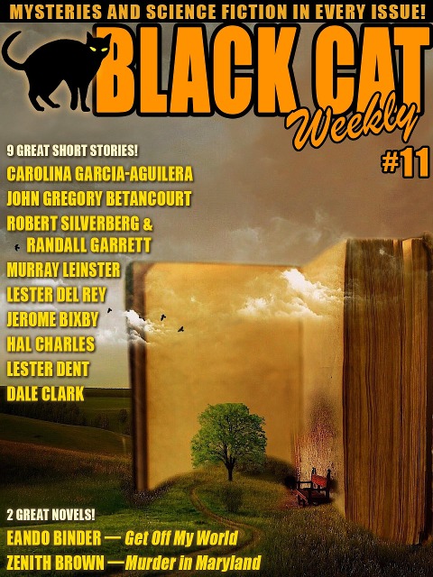 Black Cat Weekly #11 - Wildside Press