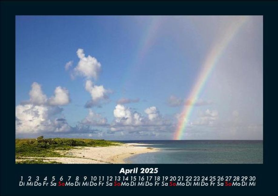 InsideView 8