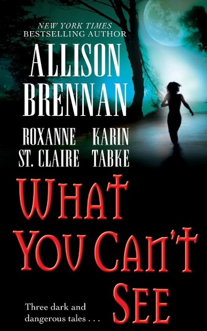 What You Can't See - Allison Brennan, Karin Tabke, Roxanne St Claire