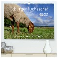 Coburger Fuchsschaf (hochwertiger Premium Wandkalender 2025 DIN A2 quer), Kunstdruck in Hochglanz - Cordula Kelle-Dingel