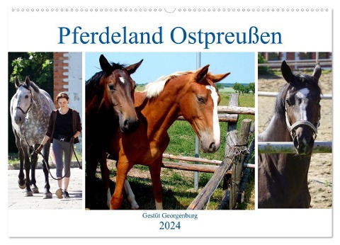 Pferdeland Ostpreußen - Gestüt Georgenburg (Wandkalender 2024 DIN A2 quer), CALVENDO Monatskalender - Henning von Löwis of Menar