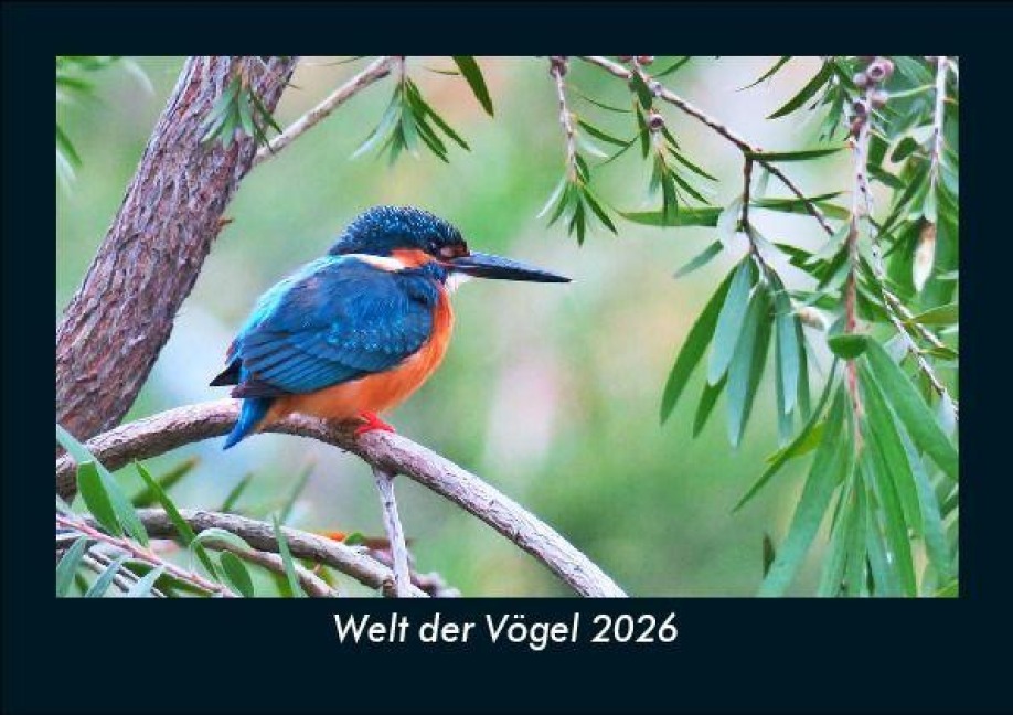 Welt der Vögel 2026 Fotokalender DIN A5 - Tobias Becker