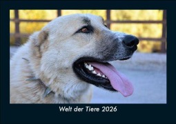 Cover-Bild zum Titel 'Welt der Tiere 2026 Fotokalender DIN A5' von 'Tobias Becker'