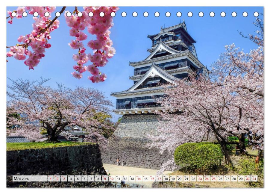 InsideView 10