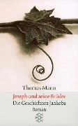Cover-Bild zum Titel 'Joseph und seine Brüder I. Die Geschichten Jaakobs' von 'Thomas Mann'