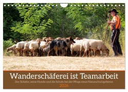 Wanderschäferei ist Teamarbeit (Wandkalender 2026 DIN A4 quer), CALVENDO Monatskalender - Marion Sixt