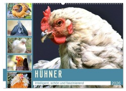 Hühner. Intelligent, schön und faszinierend (Wandkalender 2026 DIN A2 quer), CALVENDO Monatskalender - Rose Hurley