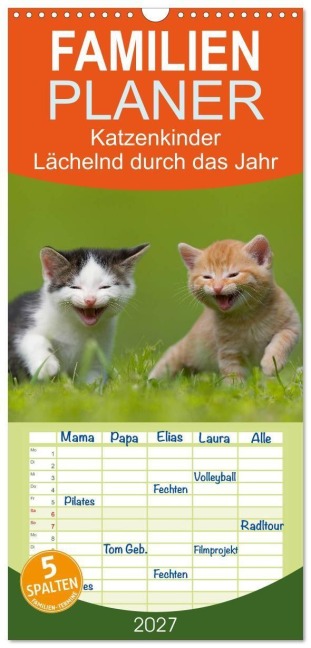 Familienplaner 2027 - Lächelnd durchs Jahr - Katzenkinder -Familienplaner hoch mit 5 Spalten (Wandkalender, 21 x 45 cm) CALVENDO - Susanne Danegger