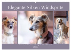 Elegante Silken Windsprite (Wandkalender 2026 DIN A2 quer), CALVENDO Monatskalender - Fotodesign Verena Scholze