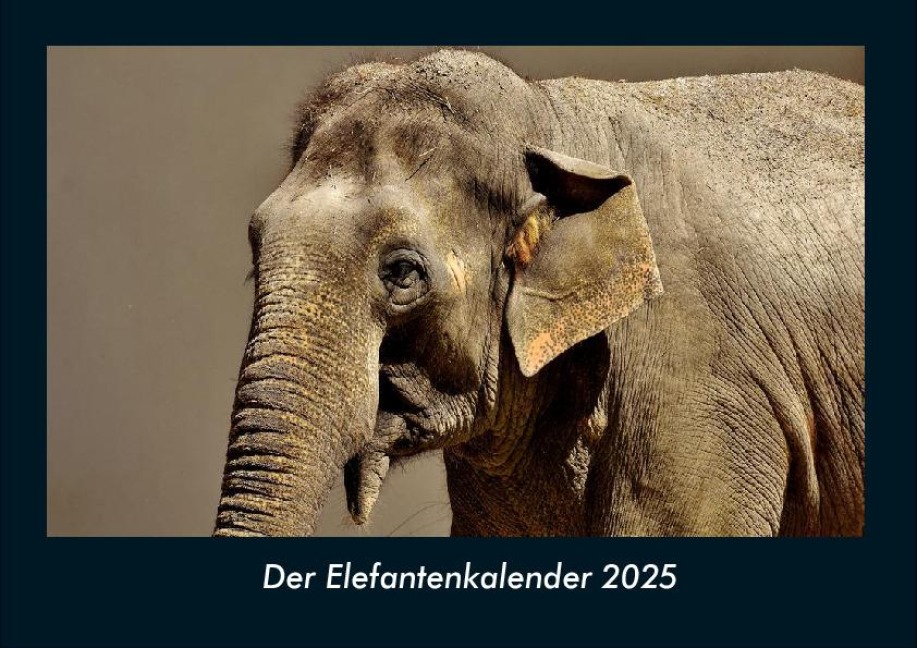 Der Elefantenkalender 2025 Fotokalender DIN A4 - Tobias Becker