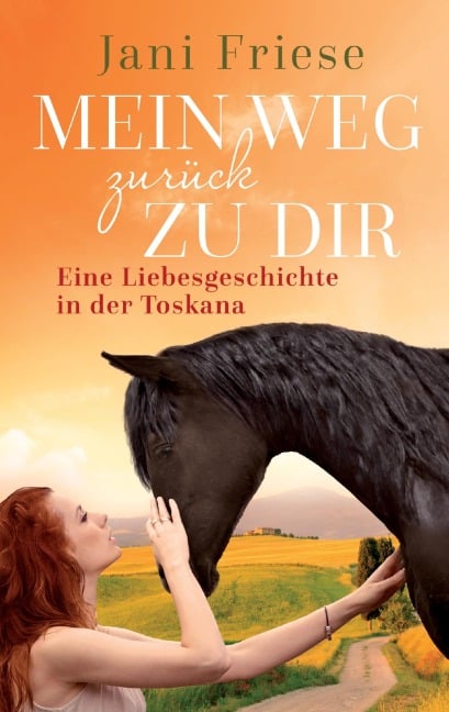 Mein Weg zurück zu dir - Jani Friese