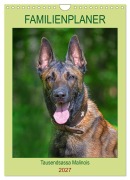 Cover-Bild zum Titel 'Familienplaner Tausendsassa Malinois (Wandkalender 2027 DIN A4 hoch), CALVENDO Monatskalender' von 'Sigrid Starick'