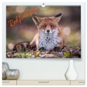 Cover-Bild zum Titel 'Rotfüchse (hochwertiger Premium Wandkalender 2026 DIN A2 quer), Kunstdruck in Hochglanz' von 'Markus van Hauten'